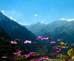 Shimla Package Tour