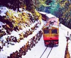 Tour Package In Shimla