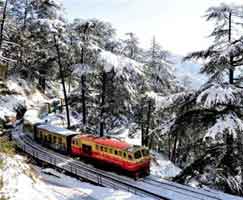 Shimla Trip